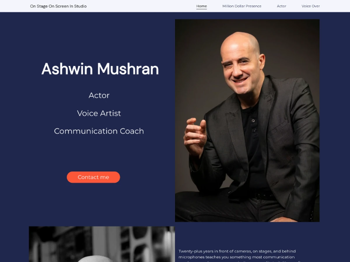 Ashwin Mushran website preview