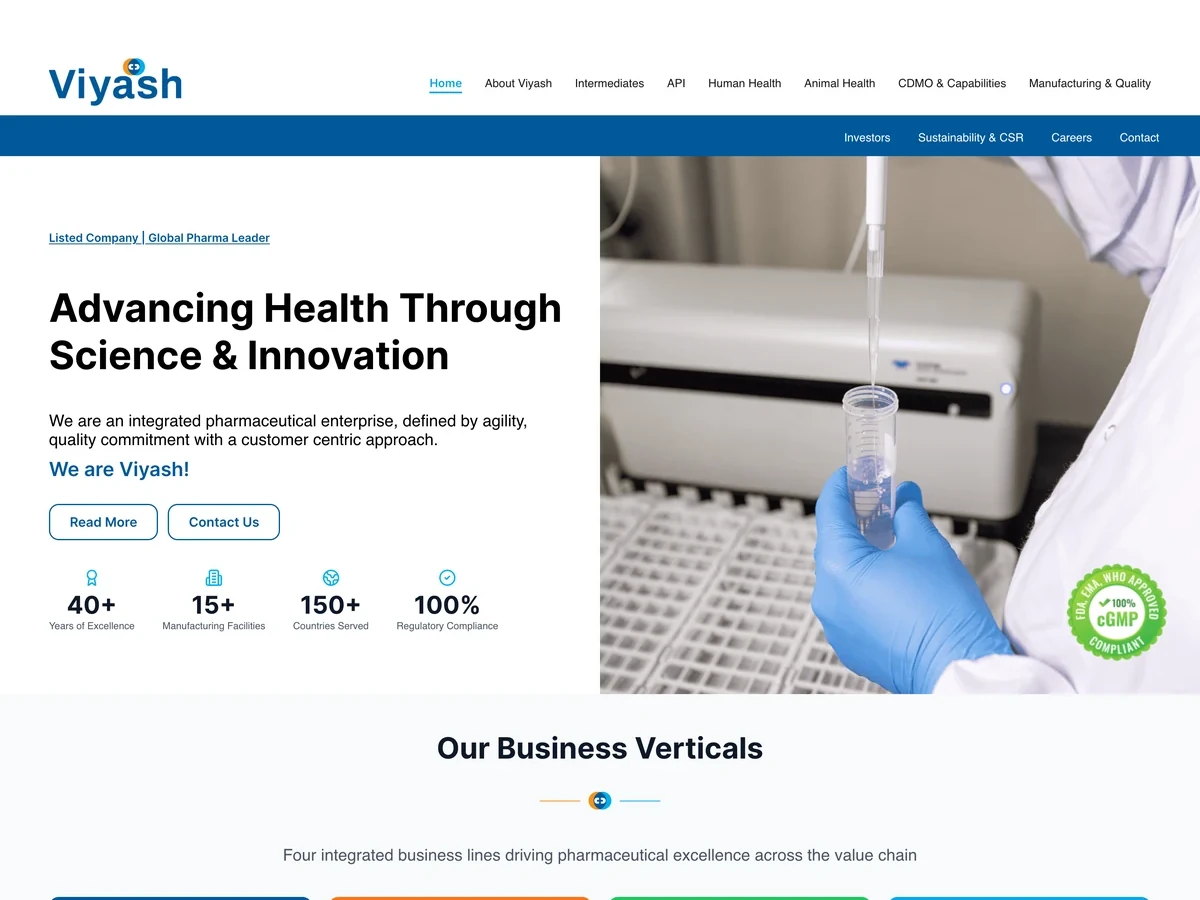 Corporate Websites Mockup
